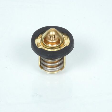 Thermostat P2R pour Scooter Peugeot 50 Speedfight 4 Neuf (1/3)