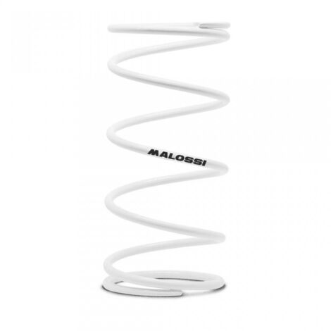 Ressort d embrayage Malossi pour Scooter Malaguti 50 F12 Phantom (1/4)