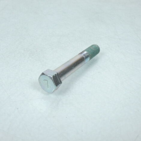 Vis fixation pontet inf pour moto Suzuki 1300 GSX b-king (1/3)