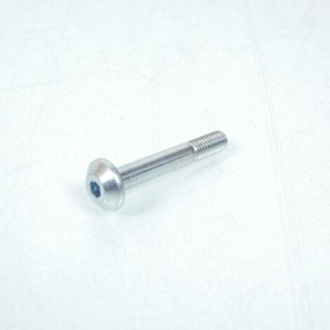 Vis M8 pas 1.25 L53mm origine pour moto Fantic 125 XE 2T 06019005 (1/3)