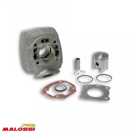 Cylindre Malossi pour Mobylette Peugeot 50 103 ML Avant 2020 Neuf