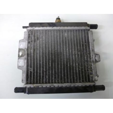 [PRODUIT D'OCCASION] Radiateur de refroidissement origine pour scooter Peugeot 125 (1/2)