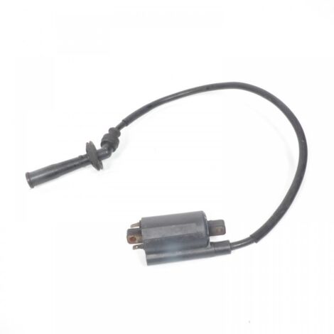 [PRODUIT D'OCCASION] Bobine d'allumage HT origine pour moto Suzuki 1000 TL 1997 à 2001 (1/2)