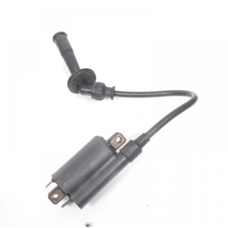 [PRODUIT D'OCCASION] Bobine d'allumage HT origine pour moto Suzuki 1000 TL 1997 à 2001 (1/2)