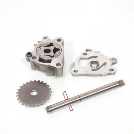 [PRODUIT D'OCCASION] Pompe à huile origine pour moto Triumph 955 Speed Triple I 2000 à (1/2)