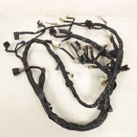 [PRODUIT D'OCCASION] Faisceau électrique origine pour scooter Yamaha 400 Majesty 2004 (1/4)