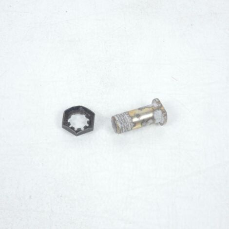 [JAMAIS UTILISE] Visserie Brembo pour Auto Aprilia 110279850 / Axe levier (1/4)