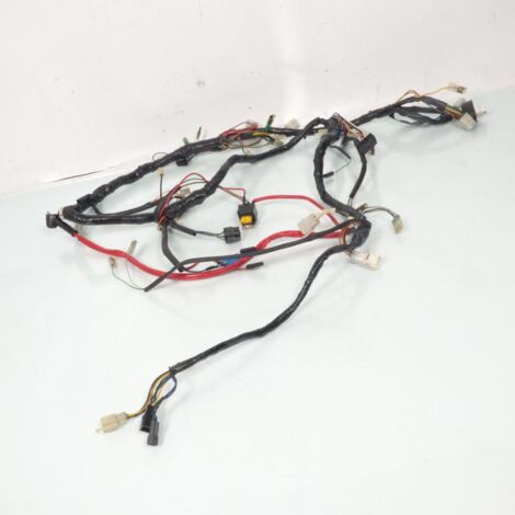 [PRODUIT D'OCCASION] Faisceau électrique origine pour Scooter Yamaha 125 Majesty 2001