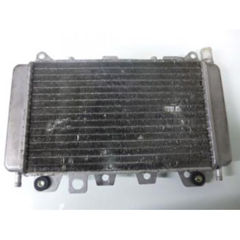 [PRODUIT D'OCCASION] Radiateur de refroidissement origine pour scooter Piaggio 125 X9 (1/2)