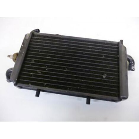 [PRODUIT D'OCCASION] Radiateur de refroidissement origine pour scooter Piaggio 125 (1/2)