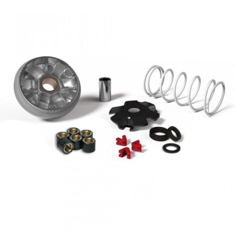 Variateur Malossi pour Scooter Aprilia 50 Amico 1993 à 1999 51 (1/4)