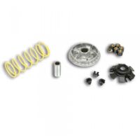 Variateur Malossi pour Scooter Kymco 300 AGILITY IE 4T LC EURO 4