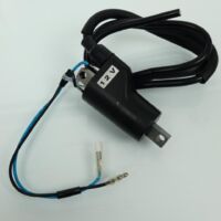 Bobine d'allumage HT BCR pour Scooter Suzuki 250 An Burgman 1998