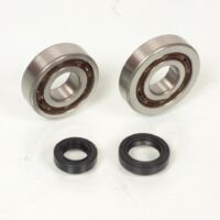 Roulement ou joint spi moteur RSM pour Scooter Peugeot 50 TKR