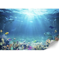 Papier peint photo, Papiers peints pour salon - 400 x 280 cm
