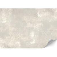 Papier peint photo, Papiers peints pour salon - 400 x 280 cm