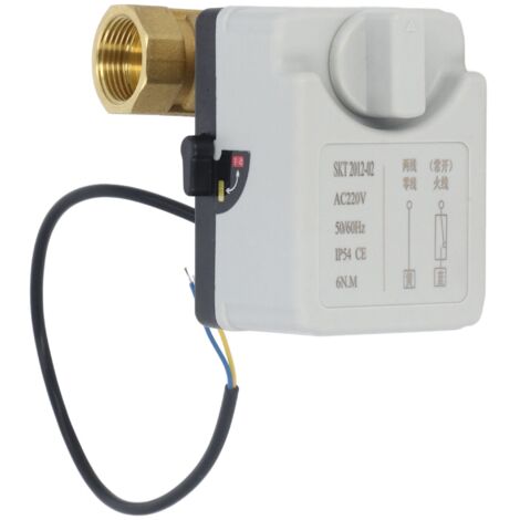 Vanne motorisée 2 fils 2 voies automatique manuelle normalement ouverte DN20 AC220V pour contrôle (1/5)
