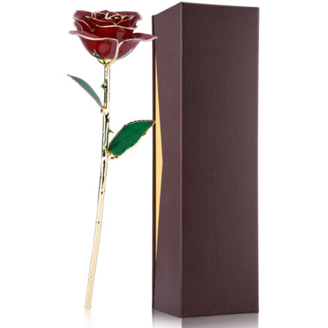 Rose Éternelle avec Tige Longue et Finition Or 24k - Idée Cadeau Saint-Valentin Parfaite (1/5)
