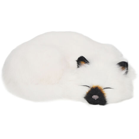 Chaton en Peluche Réaliste Dormeur Décor Doux Mignon pour Maison (1/5)