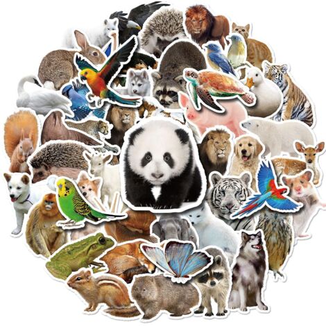 Lot de 50 autocollants d'animaux de la forêt pour enfants - 5-7 cm (1/5)