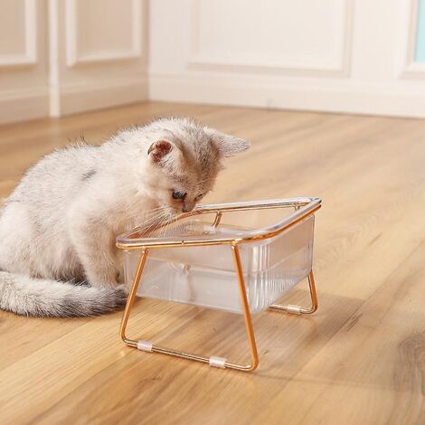 Gamelle surélevée antidérapante pour chat, avec design transparent et finition dorée. (1/4)