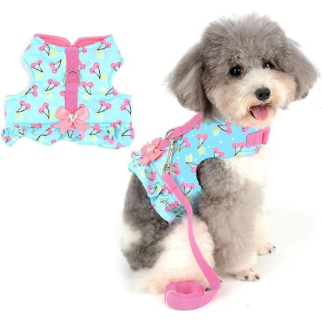 Robe-gilet pour petite chienne avec laisse anti-traction et joli nœud - Harnais rembourré en coton doux pour Chihuahua, Yorkshire Terrier et autres petites races (1/5)