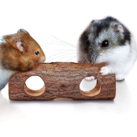 Support tubulaire en bois massif pour jouet à mâcher pour petits animaux et oiseaux (20 cm) (1/4)