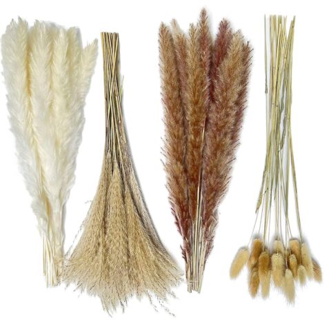 Bouquet d'herbes de la pampa séchées - 80 pièces de 42,5 cm, tiges naturelles blanches, brunes, roseau et queue de lapin pour la maison, les mariages et la décoration bohème (1/5)