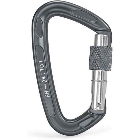 Crochet de sécurité automatique de type D argenté pour l'escalade sur glace et l'alpinisme en extérieur, en alliage magnésium-aluminium durable. (1/5)