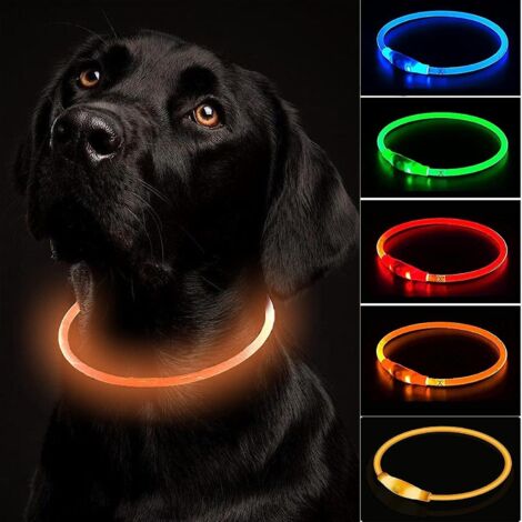 Collier LED rechargeable par USB pour chien – Réglable, coupable et étanche avec 3 modes de clignotement pour chiens de petite, moyenne et grande taille (1/5)