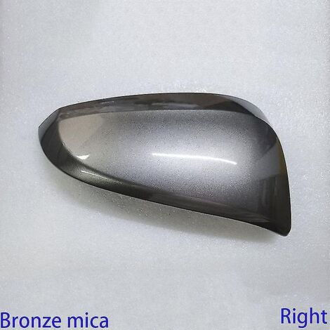 Accessoires auto - Coque de rétroviseur pour Toyota Rav4 2013-2019 - Boîtier de rétroviseur - Bronze mica - Droit (1/5)