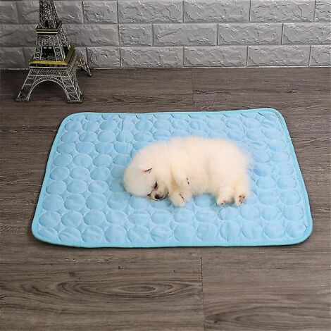 Tapis rafraîchissant en soie glacée pour chiens et chats - Coussin rafraîchissant pour niche - 70 x 55 cm - Bleu (1/5)