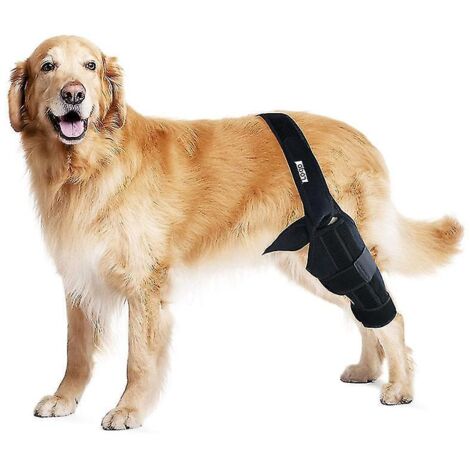 Attelle pour genou, patte arrière et hanche de chien (liège croisé antérieur déchiré), attelle de genou pour luxation de la rotule, réduit les douleurs arthritiques - Taille L (1/4)