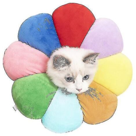 Collier médical anti-morsure et anti-léchage Yyh pour chats et chiens, motif tournesol - M - Arc-en-ciel (1/4)