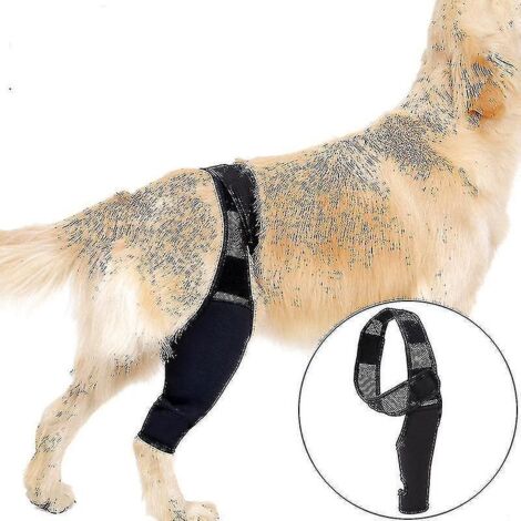 Genouillère pour chien en cas de rupture du LCA, de luxation de la rotule et d'arthrite - Maintient l'articulation au chaud - Soutien supplémentaire - Réduit la douleur et l'inflammation (1/4)