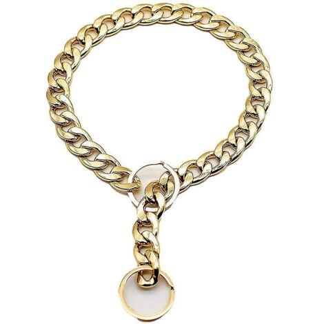 Collier tendance et mignon pour animaux de compagnie, idéal pour les bouledogues, chaîne en métal léger, accessoires pour chiots (1/5)