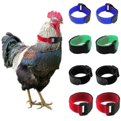 Collier anti-chant du coq, texture douce, réglable, anti-accrochage, accessoires pour volailles, haute qualité, 2 pièces, rouge (1/5)