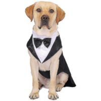 Costume smoking pour chien, costume pour animal de compagnie, robe smoking pour chien, costume de cérémonie de mariage - Taille M