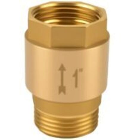 1"-Rückschlagventil, Abwasser-Rückschlagventil aus Messing, rostfrei und wasserdicht, 1 Zoll AG auf IG, für Wasserpumpen, Gartenpumpen, Waschmaschinen, OUYLAF (1/5)