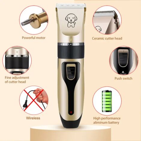 Tondeuse Professionnelle Pour Chien Questor – Neuf, Toilettage Animaux