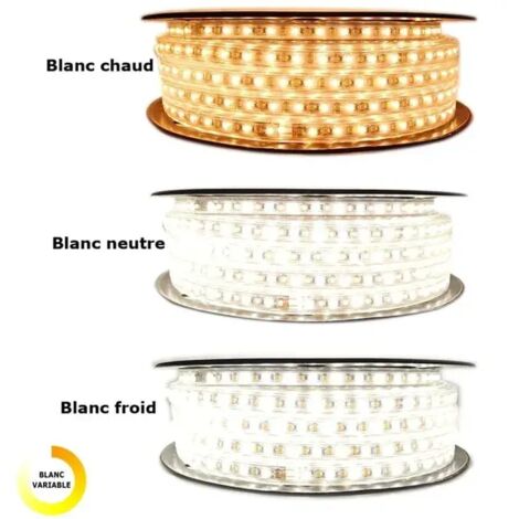 Kit Ruban Led Professionnel 5050 60 Led/M De 25 Ou 50 Mètres Rgb Étanche (Ip67) Avec Contrôleur 220v Longueur: 50 Mètres