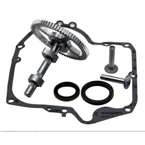 Gurdtopo Albero A Camme Con Guarnizioni Per Briggs & Stratton – 793880 697110 795387