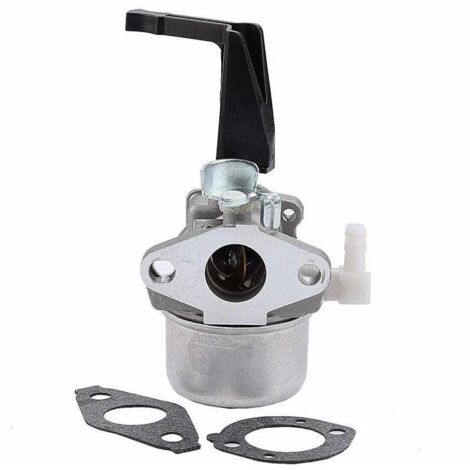 ZVD Carburateur 696065 compatible avec Briggs & Stratton 696065 697422 110402-0206-E1 (1/4)