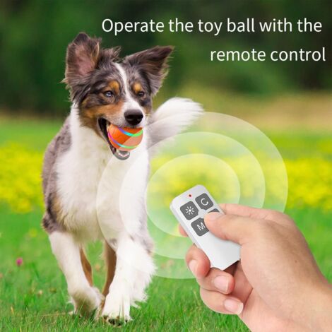 Balle de jouet interactive intelligente pour chien Balle de chien de compagnie Balle de jouet de chat à roulement automatique avec lumière LED pour chiot petits/moyens chiens rechargeable par USB, ora