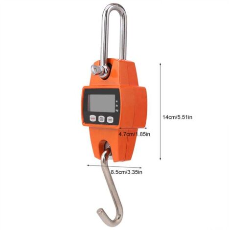 Balance Plateforme Pliable 300kg/50g Double Écran LCD - Industrielle Portable Acier Renforcé