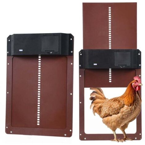 ZVD-Kit de porte de poulailler automatique, porte de poulailler automatique alimentée par batterie avec minuterie et capteur de lumière, accessoires de poulailler (1/4)