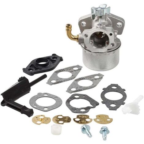 Carburateur compatible avec la plupart des moteurs Briggs & Stratton 798654 792970 150000 (1/4)