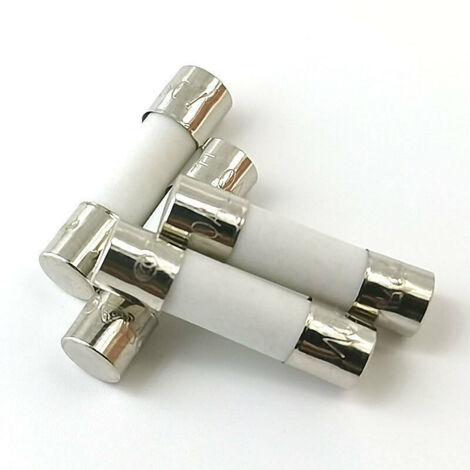10x Fusible Temporisé (T) en céramique 10A / 250VAC 5x20mm (1/4)