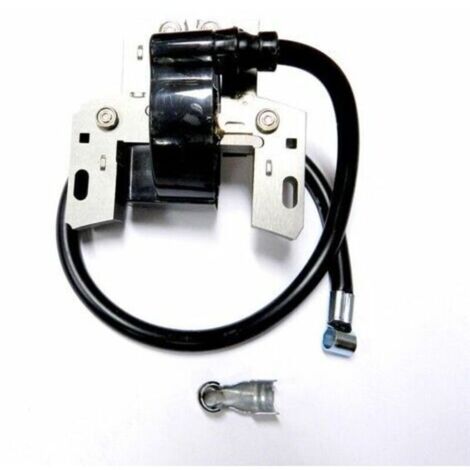 Bobine allumage moteur Briggs et Stratton 591459