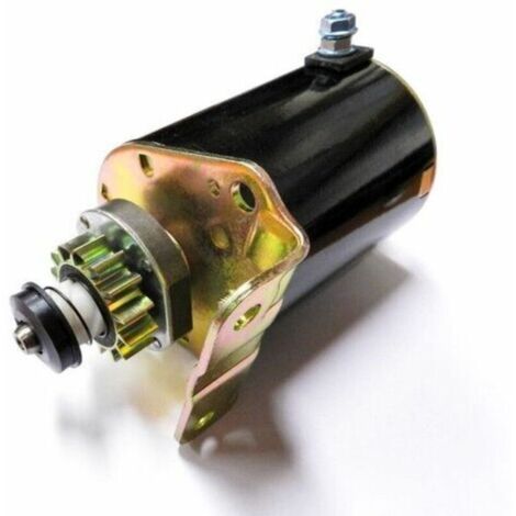 Démarreur moteur Briggs et Stratton pignon métal 14 dents - 693551
